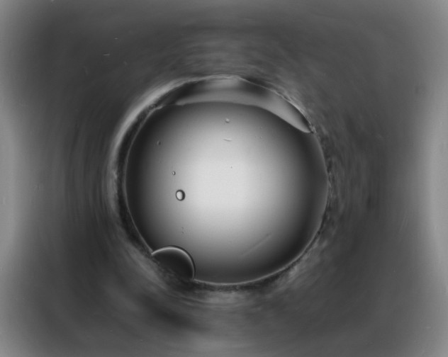 X0000088130342200705211120