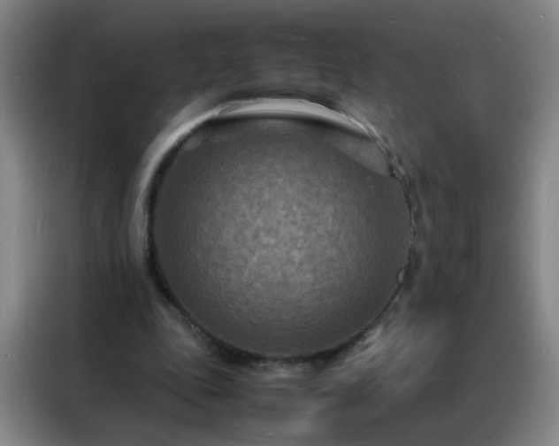 X0000088130343200705211120