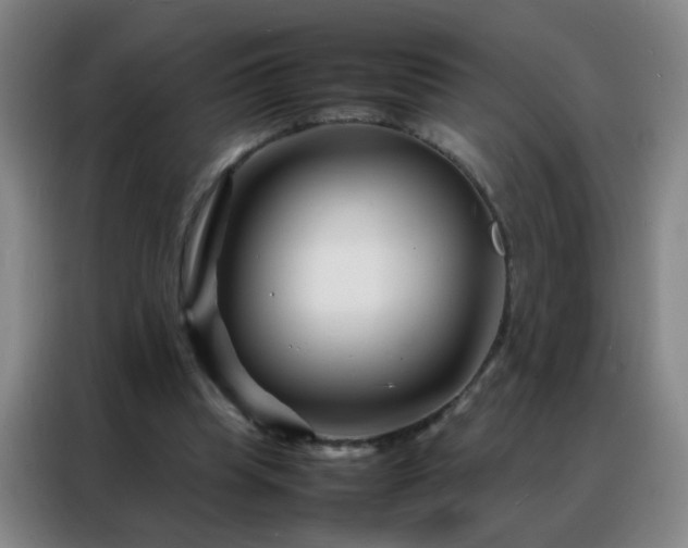 X0000088130345200705211120