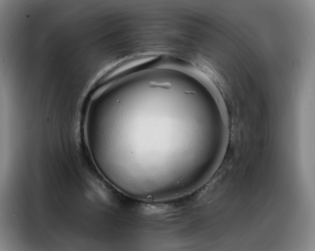 X0000088130346200705211120