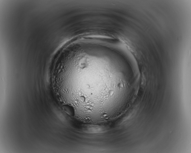 X0000088130347200705211120