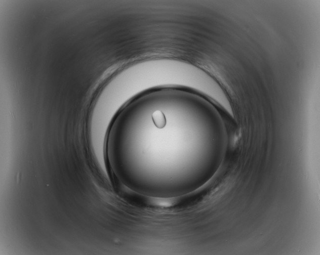 X0000088130348200705211120