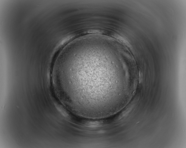 X0000088130349200705211120