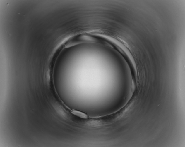 X0000088130350200705211120