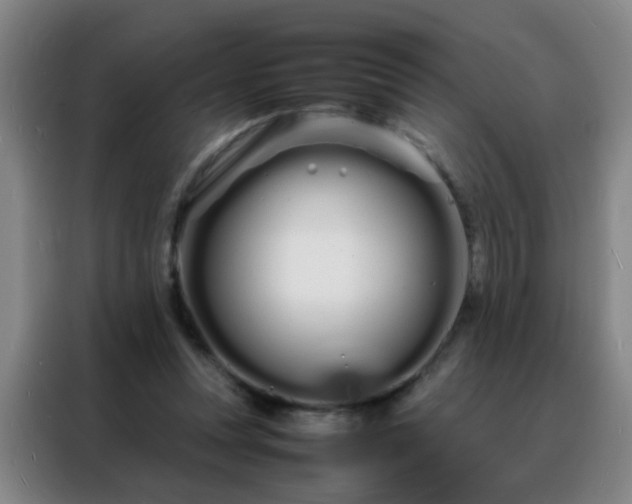 X0000088130351200705211120