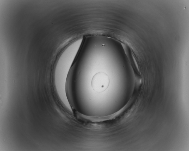 X0000088130352200705211120