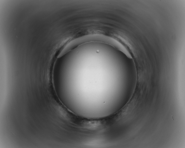 X0000088130353200705211120