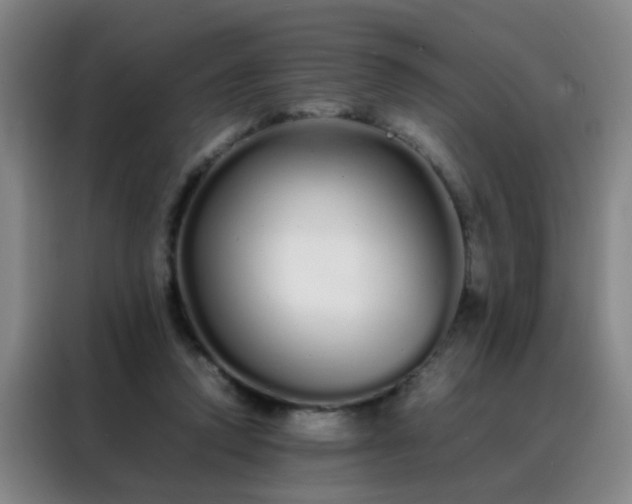 X0000088130354200705211120