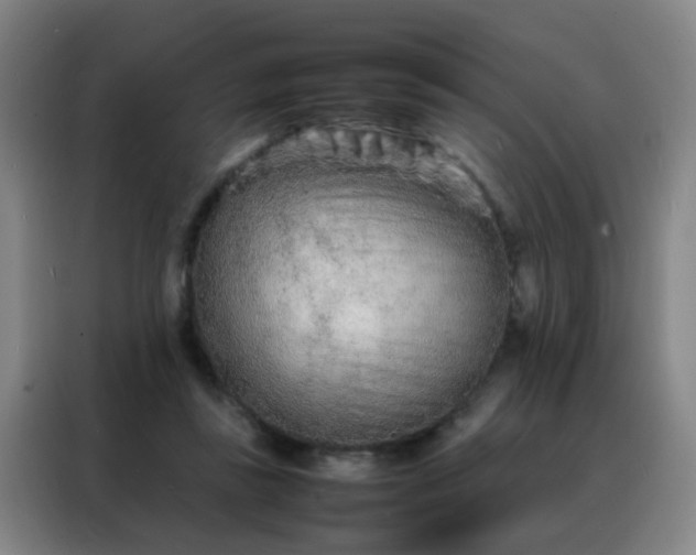 X0000088130355200705211120