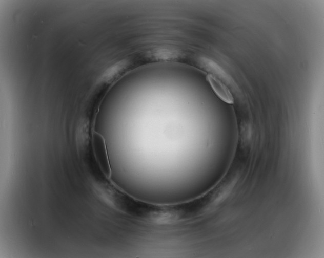 X0000088130356200705211120