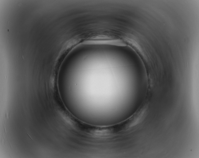 X0000088130357200705211120