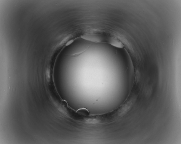 X0000088130358200705211120