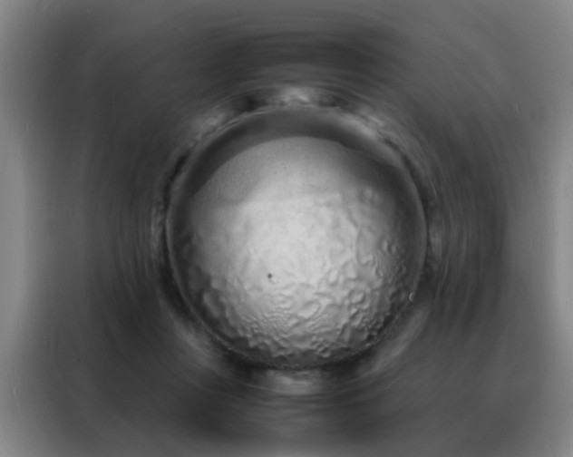 X0000088130359200705211120