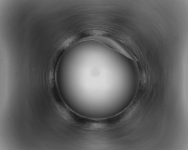 X0000088130360200705211120