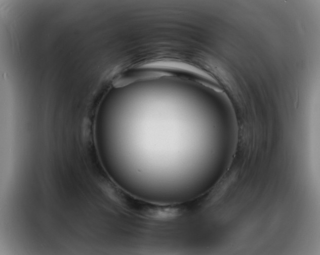 X0000088130361200705211120