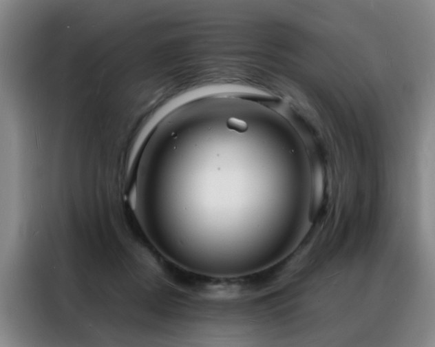 X0000088130362200705211120