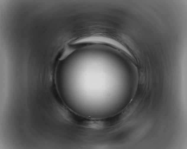 X0000088130363200705211120