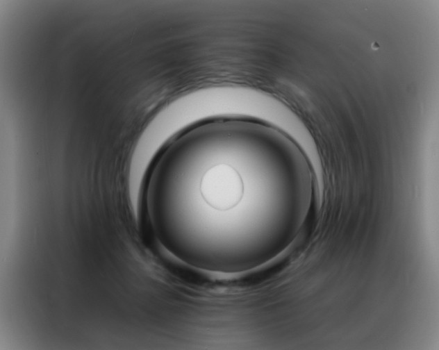 X0000088130364200705211120