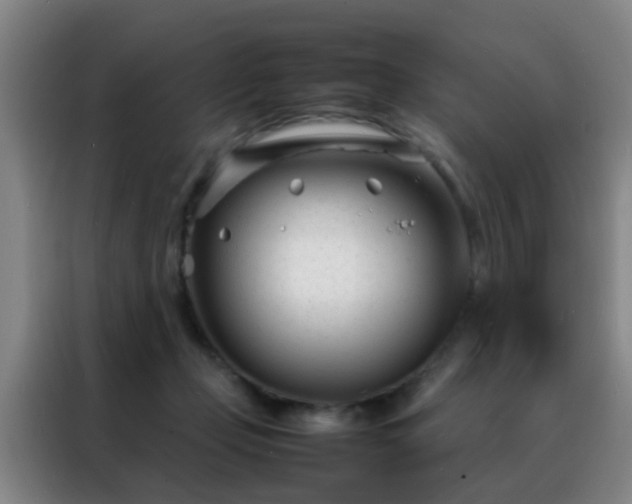 X0000088130365200705211120