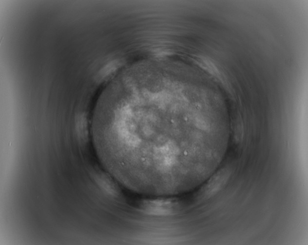 X0000088130366200705211120