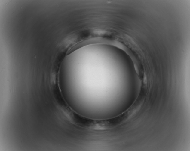 X0000088130368200705211120