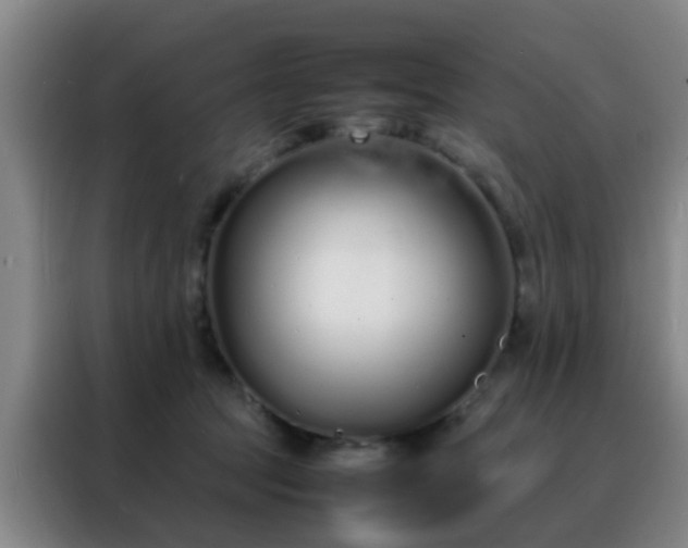 X0000088130369200705211120