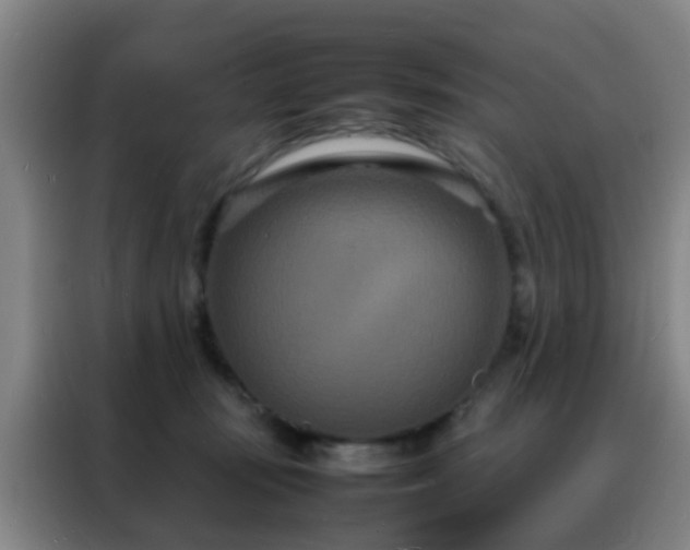 X0000088130371200705211120