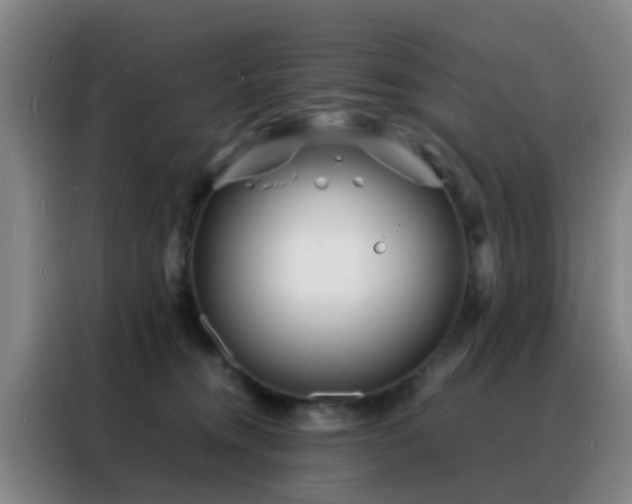 X0000088130372200705211120