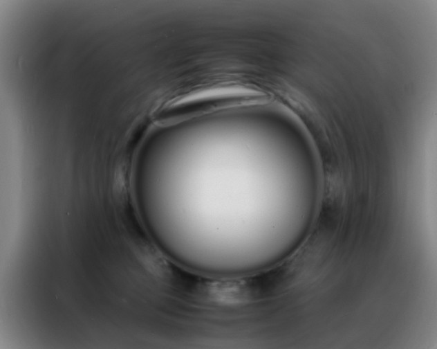 X0000088130373200705211120