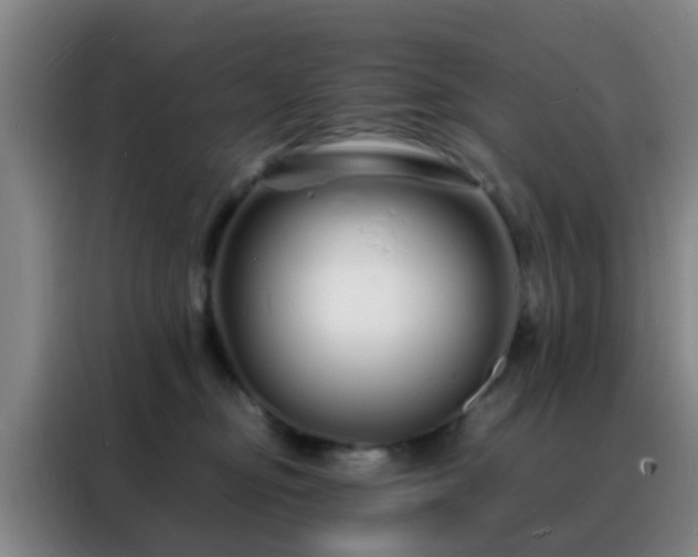 X0000088130374200705211120