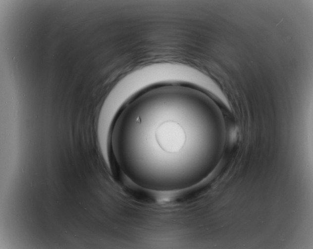 X0000088130376200705211120