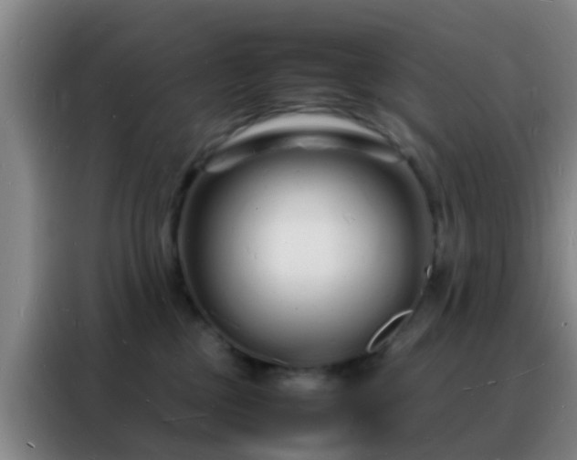 X0000088130377200705211120