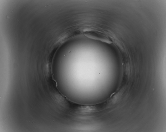 X0000088130378200705211120