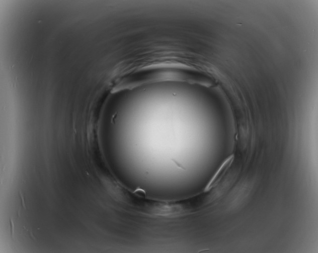 X0000088130379200705211120