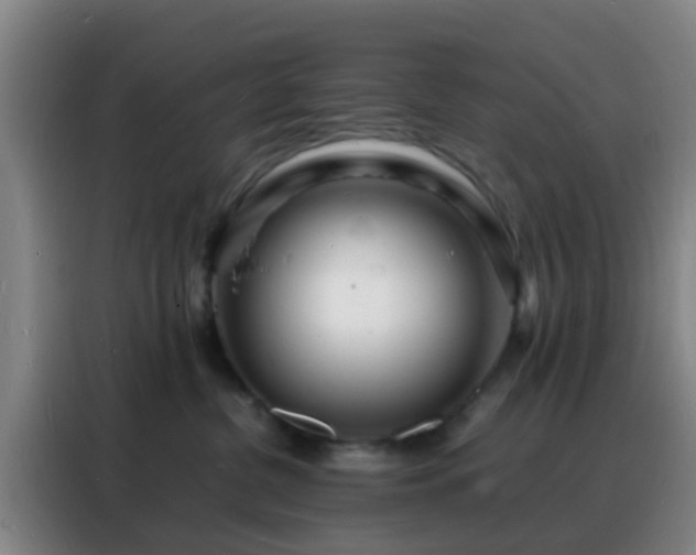 X0000088130380200705211120