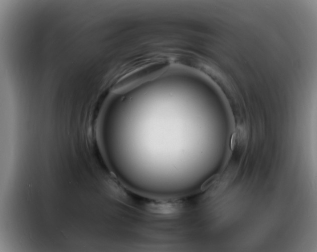 X0000088130381200705211120