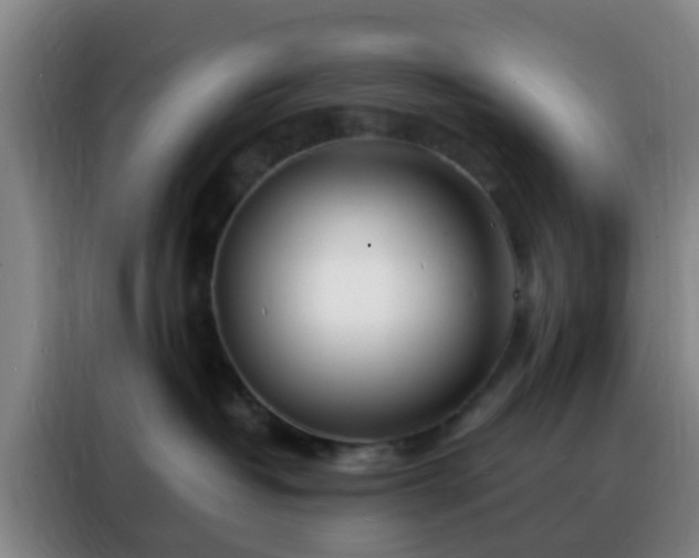 X0000088130382200705211120