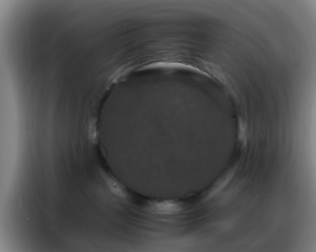 X0000088130383200705211120