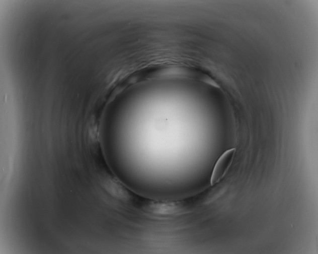 X0000088130384200705211120