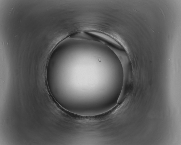 X0000088130385200705211120