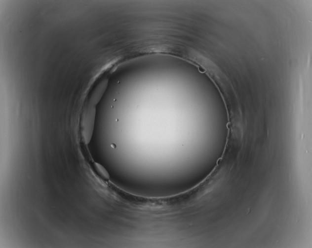 X0000088130386200705211120