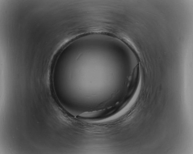 X0000088130387200705211120