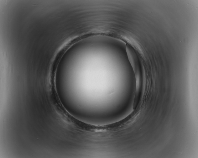 X0000088130388200705211120