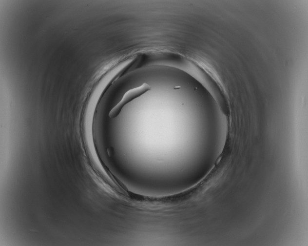 X0000088130389200705211120