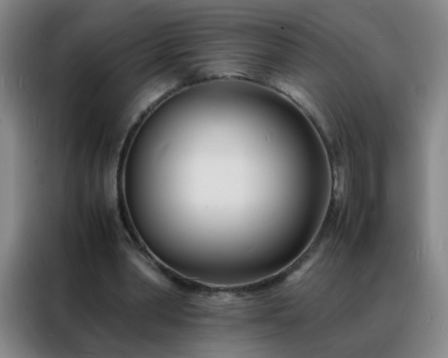 X0000088130390200705211120