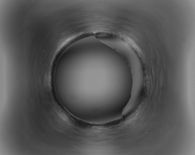 X0000088130391200705211120