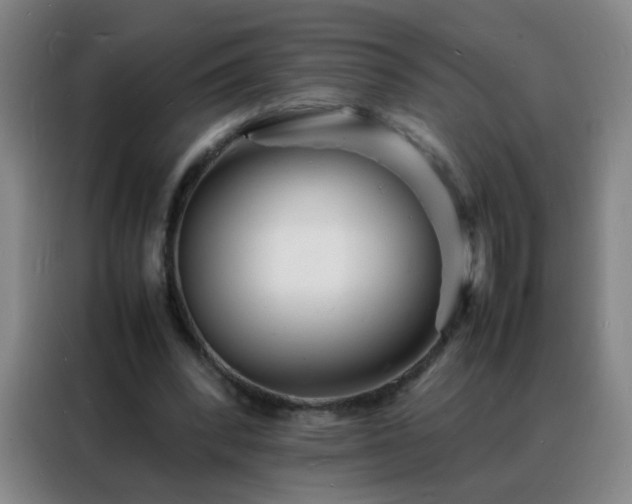 X0000088130392200705211120