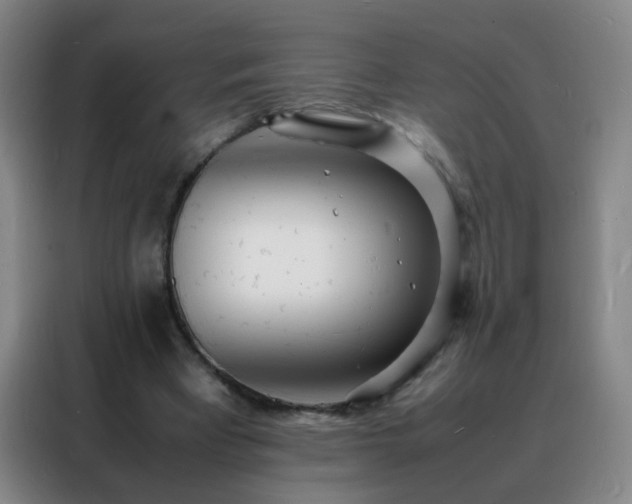 X0000088130393200705211120