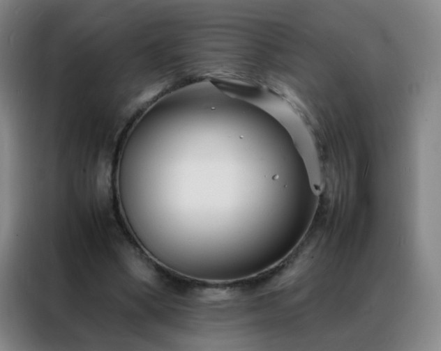 X0000088130394200705211120