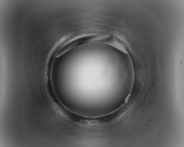 X0000088130395200705211120